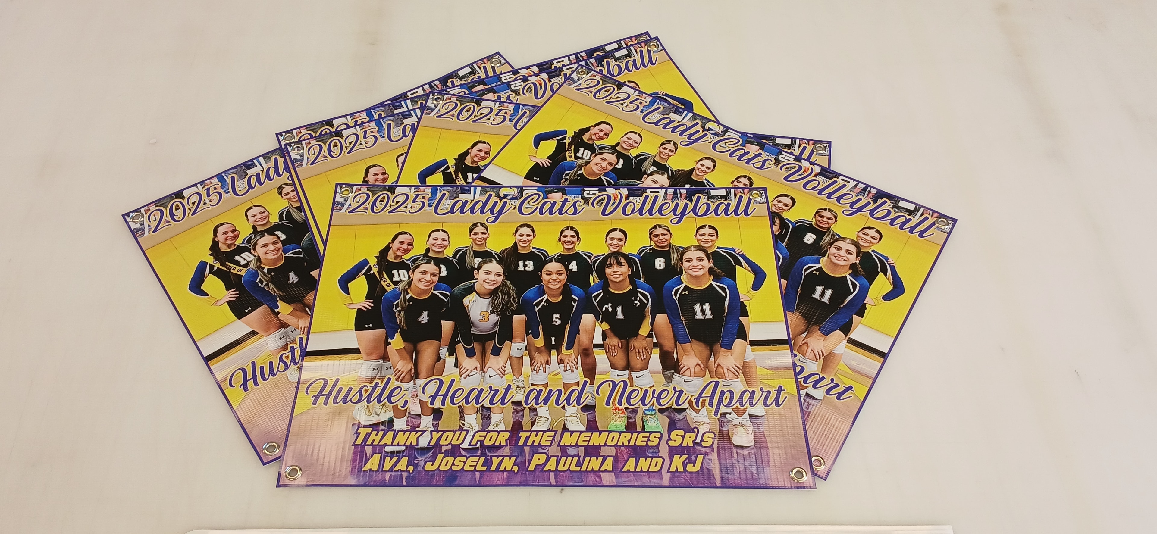 2025 Lady Cats Volleyball Banner